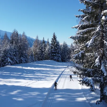 Interalpen-hotel Tyrol טלפס